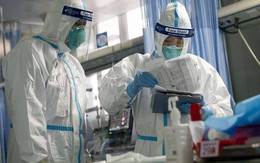 Trung Quốc xác nhận từng ra lệnh hủy mẫu virus SARS-CoV-2